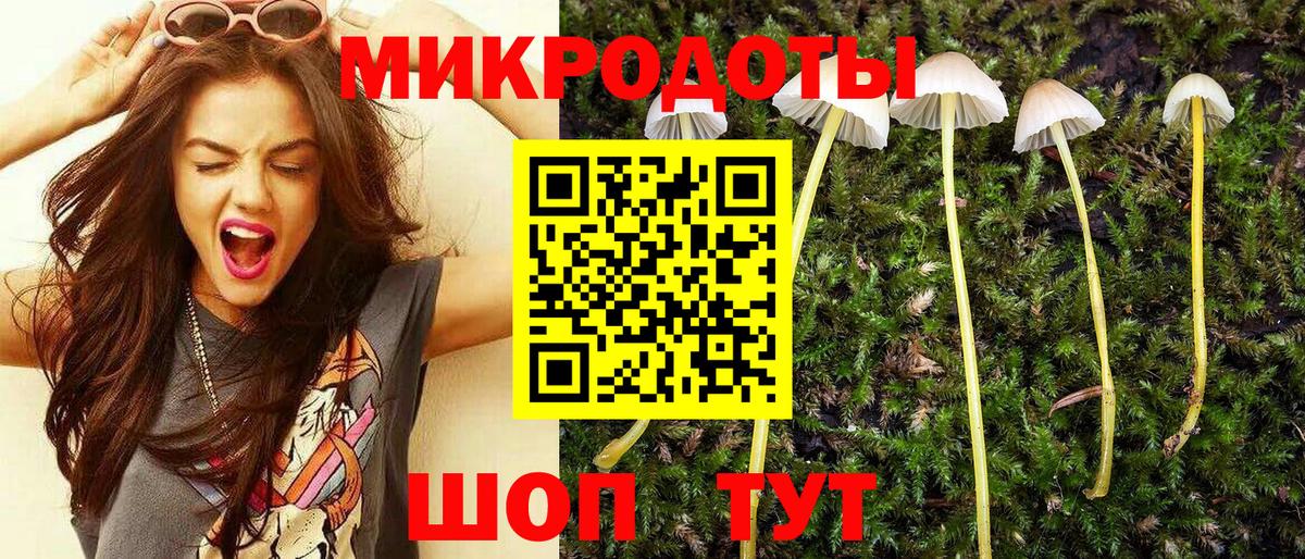 Галлюциногенные грибы Psilocybine cubensis  Псилоцибиновые грибы мухоморы  Вход с VPN  Светлоград 